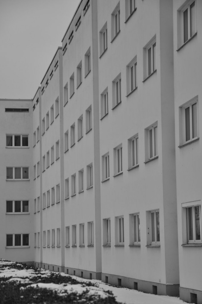 DSC_0397