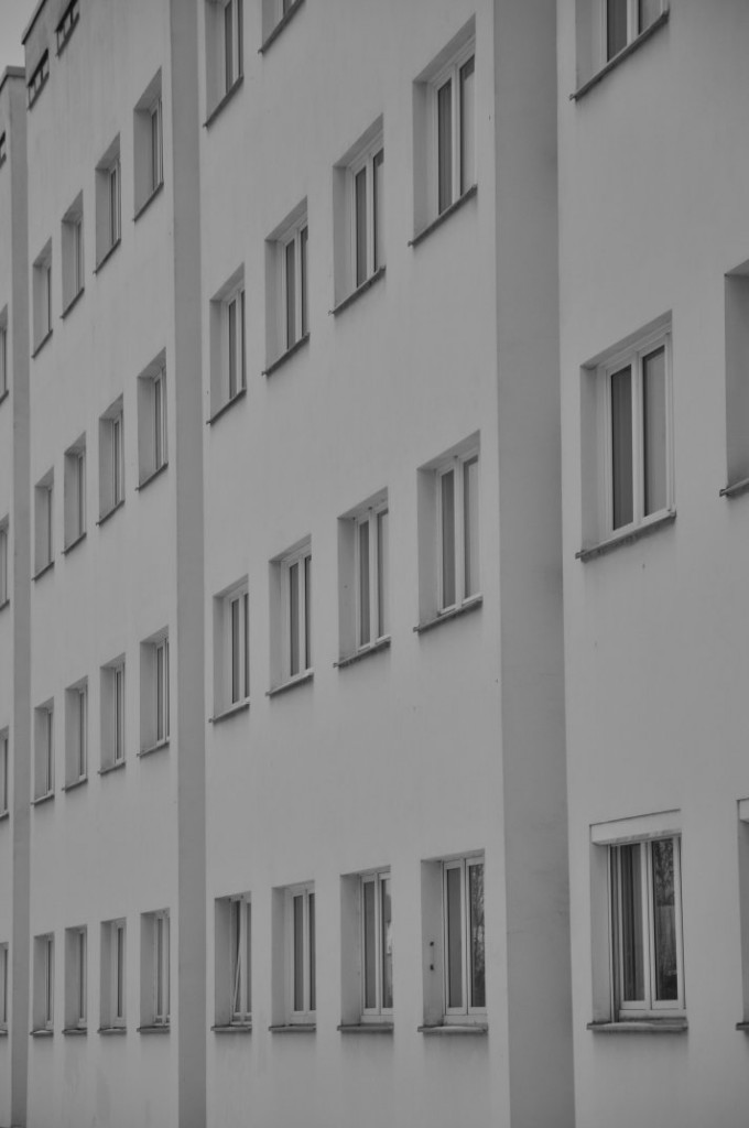 DSC_0398