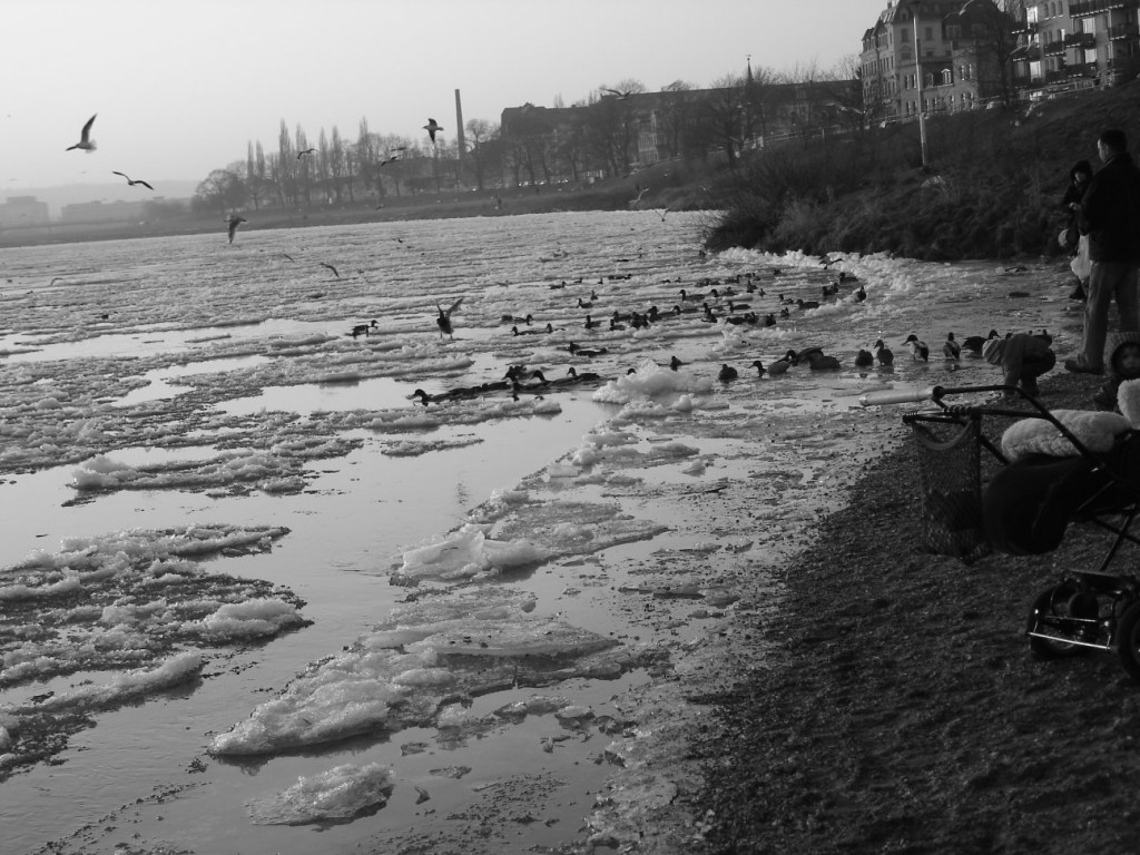 ufer_mickten_16