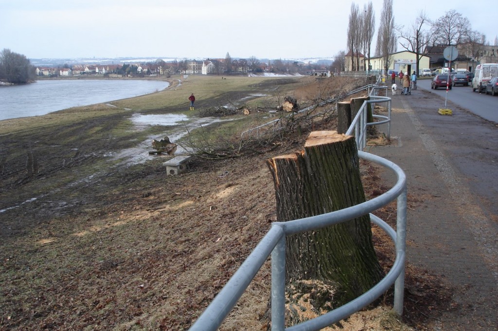 ufer_mickten_bt_03