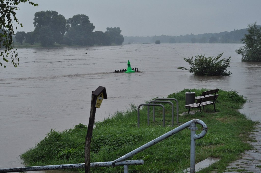 sommerhochwasser_elbe_2010_01