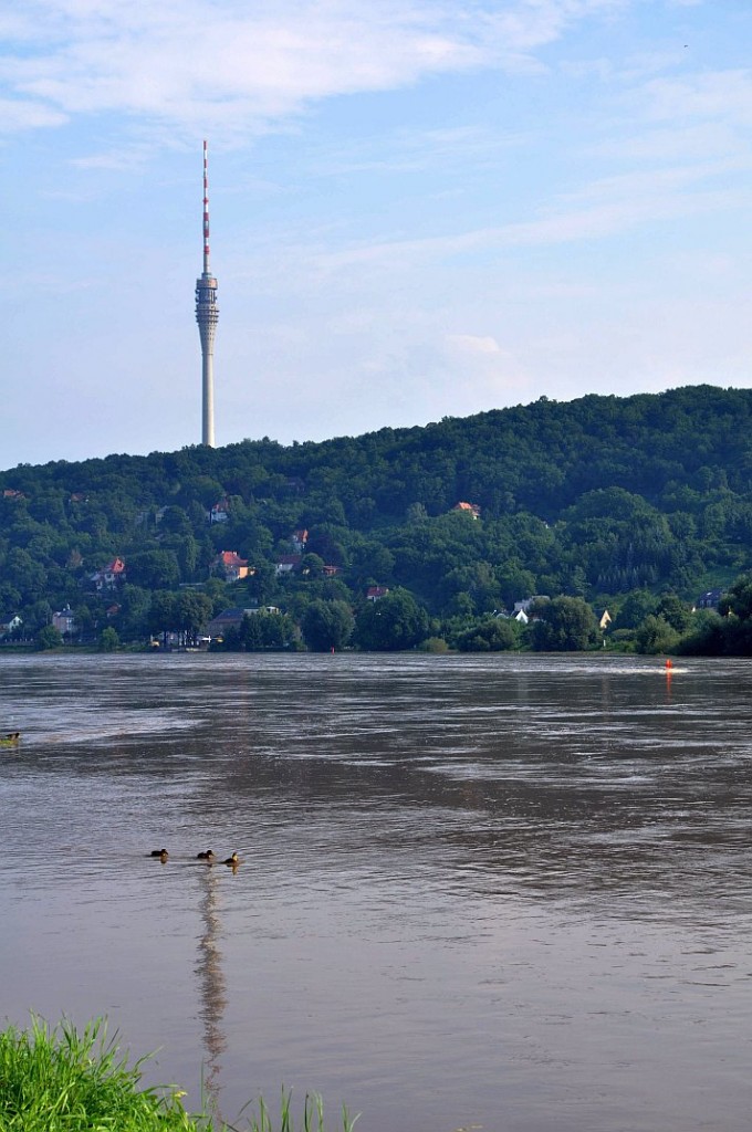 sommerhochwasser_elbe_2010_03