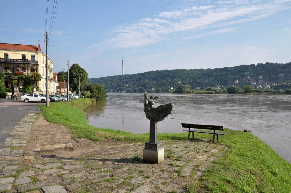 sommerhochwasser_elbe_2010_04