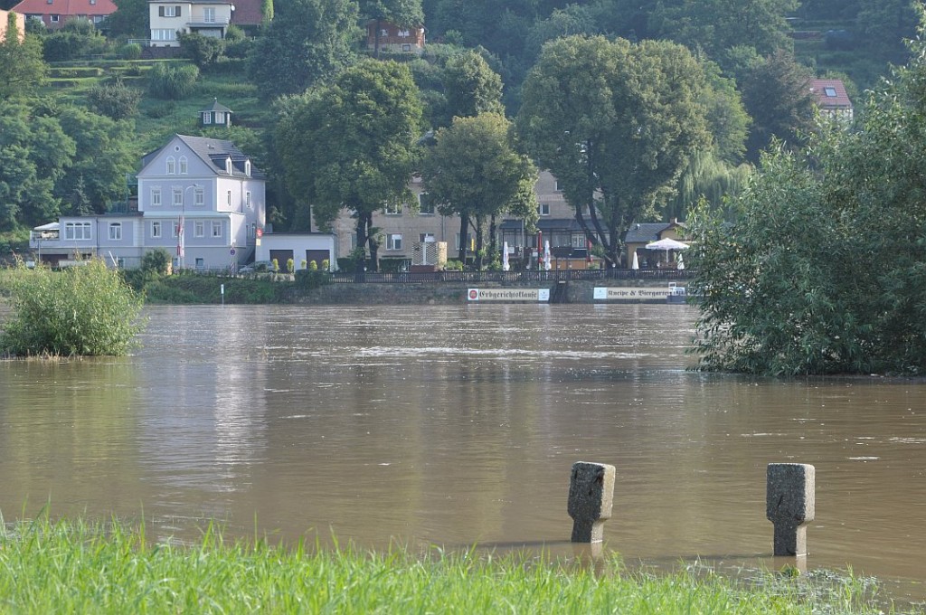 sommerhochwasser_elbe_2010_06